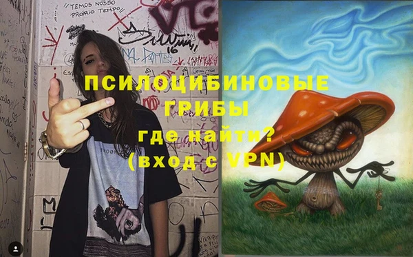 МДПВ Арсеньев