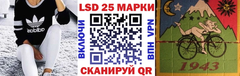 где можно купить   Беломорск  Марки NBOMe 1,8мг 